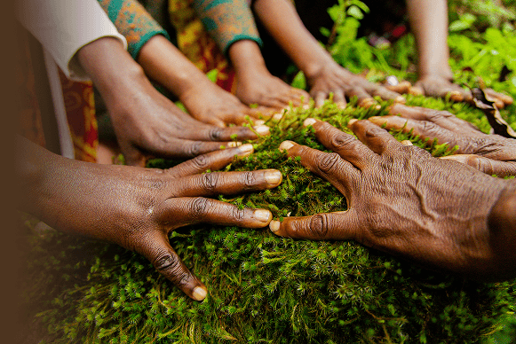 Hands on moss